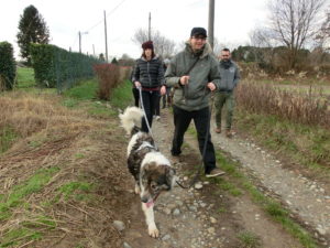 Socio Bau.2 utenti e cane a passeggio