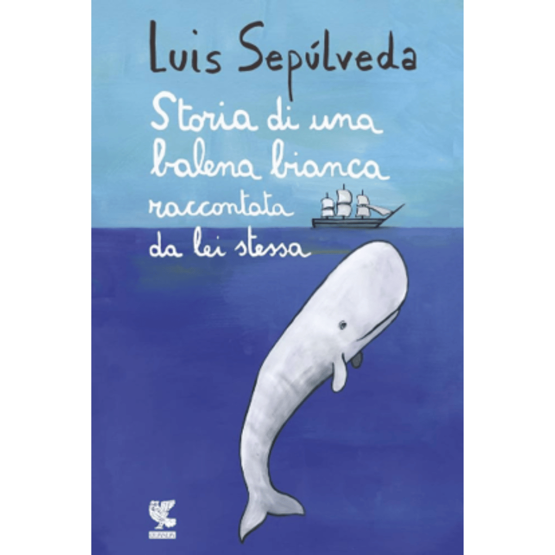 Le Chicche - Libro Le Streghe